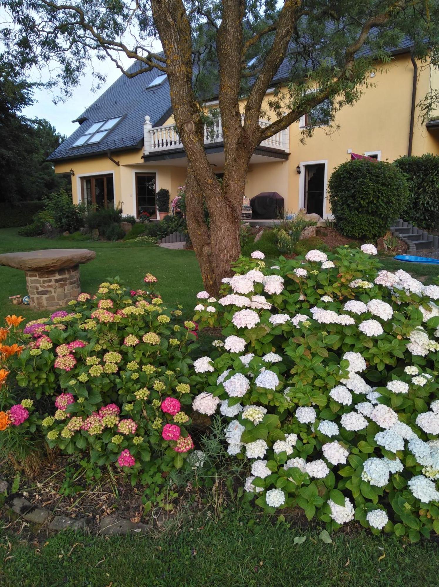 Haus Maria Apartment Olmscheid Luaran gambar